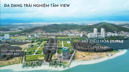 da-dang-tam-veiw.png