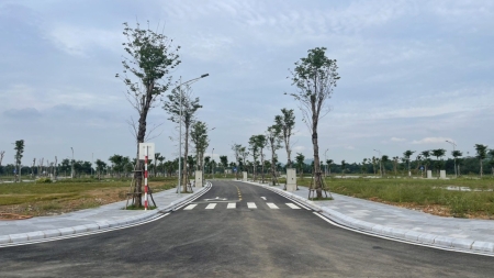 fe03384446c78499ddd6-3.jpg