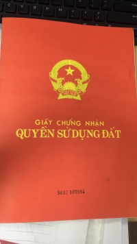 Times Pro - BĐS uy tín hàng đầu