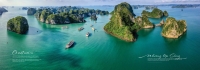Times Pro - BĐS uy tín hàng đầu