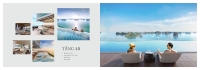 Times Pro - BĐS uy tín hàng đầu