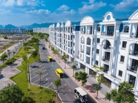 Times Pro - BĐS uy tín hàng đầu