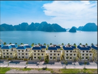 Times Pro - BĐS uy tín hàng đầu