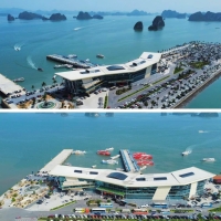 Times Pro - BĐS uy tín hàng đầu