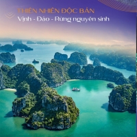 Times Pro - BĐS uy tín hàng đầu