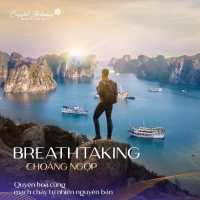 Times Pro - BĐS uy tín hàng đầu