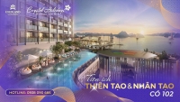 Times Pro - BĐS uy tín hàng đầu