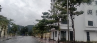Times Pro - BĐS uy tín hàng đầu