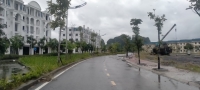 Times Pro - BĐS uy tín hàng đầu