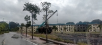 Times Pro - BĐS uy tín hàng đầu