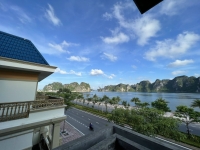 Times Pro - BĐS uy tín hàng đầu