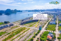 Times Pro - BĐS uy tín hàng đầu