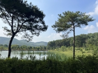 Times Pro - BĐS uy tín hàng đầu