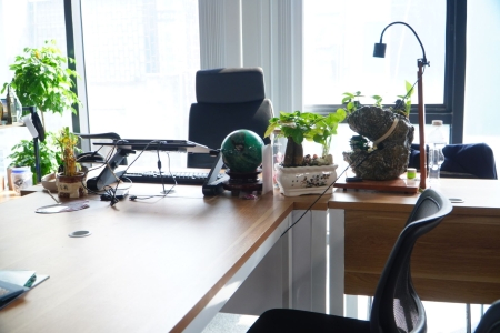 dsc08929-1.jpg