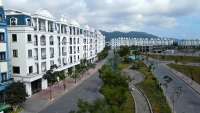 Times Pro - BĐS uy tín hàng đầu