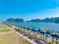 Times Pro - BĐS uy tín hàng đầu