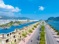 Times Pro - BĐS uy tín hàng đầu