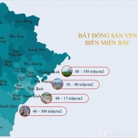 Times Pro - BĐS uy tín hàng đầu
