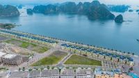 Times Pro - BĐS uy tín hàng đầu