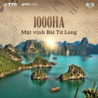 Times Pro - BĐS uy tín hàng đầu