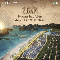 Times Pro - BĐS uy tín hàng đầu