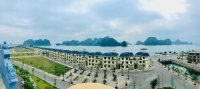 Times Pro - BĐS uy tín hàng đầu