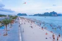 Times Pro - BĐS uy tín hàng đầu