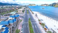 Times Pro - BĐS uy tín hàng đầu