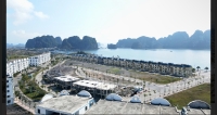 Times Pro - BĐS uy tín hàng đầu