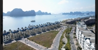 Times Pro - BĐS uy tín hàng đầu