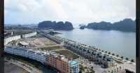 Times Pro - BĐS uy tín hàng đầu