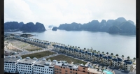 Times Pro - BĐS uy tín hàng đầu