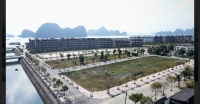 Times Pro - BĐS uy tín hàng đầu