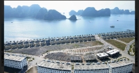 Times Pro - BĐS uy tín hàng đầu