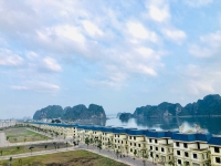 Times Pro - BĐS uy tín hàng đầu