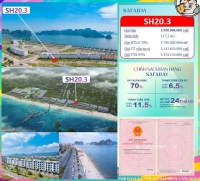 Times Pro - BĐS uy tín hàng đầu