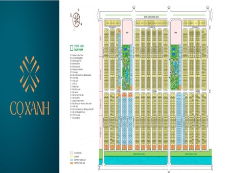 hinh-anh-phan-khu-co-xanh-vinhome-socean-park-2-the-empire-so-2.jpg