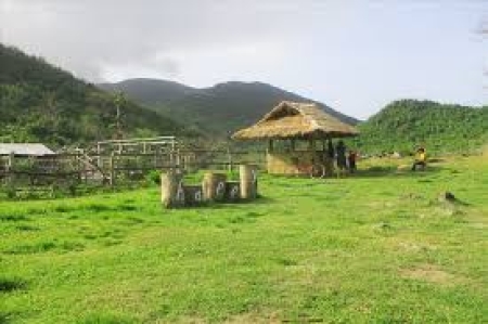 tai-xuong-7.jpg