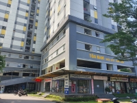 Times Pro - BĐS uy tín hàng đầu