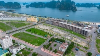 Times Pro - BĐS uy tín hàng đầu