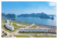 Times Pro - BĐS uy tín hàng đầu
